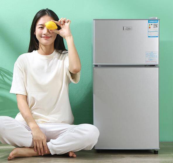 惠又省电？租房族必备实用省电小冰箱推荐爱游戏app手机版小冰箱哪个牌子好又实(图4)