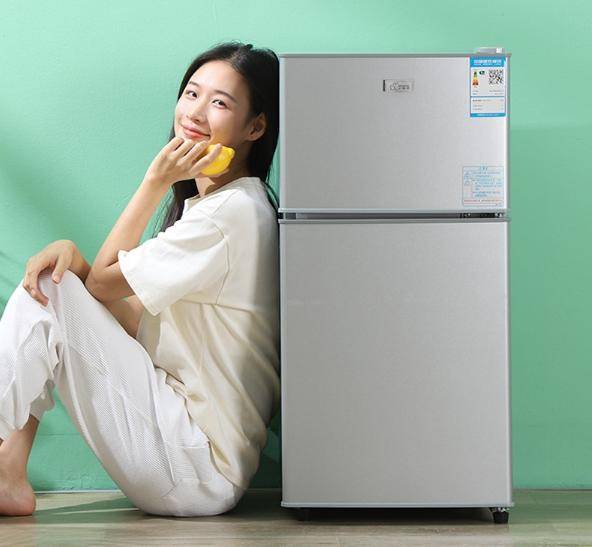 惠又省电？租房族必备实用省电小冰箱推荐爱游戏app手机版小冰箱哪个牌子好又实(图5)