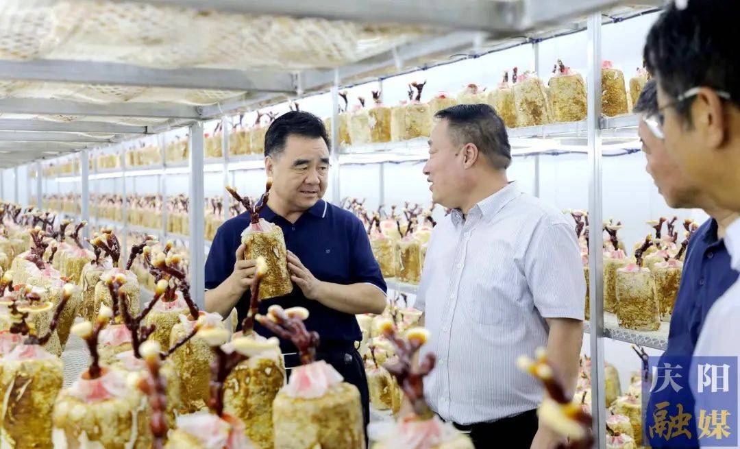 这几类食物隔夜最好别再吃！爱游戏app登录早安庆阳丨